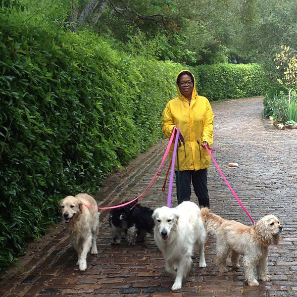 Oprah Winfrey, Instagram Oprah Winfrey, Instagram